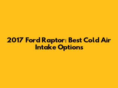 2017 Ford Raptor: Best Cold Air Intake Options