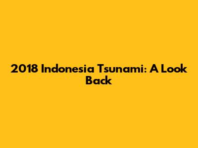 2018 Indonesia Tsunami: A Look Back