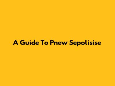 A Guide To Pnew Sepolisise