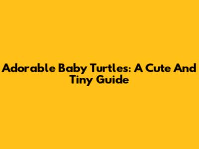 Adorable Baby Turtles: A Cute And Tiny Guide