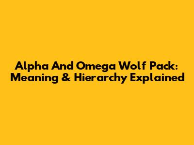 Alpha And Omega Wolf Pack: Meaning & Hierarchy Explained