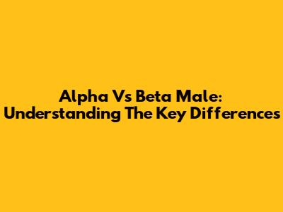 Alpha Vs Beta Male: Understanding The Key Differences