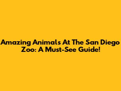 Amazing Animals At The San Diego Zoo: A Must-See Guide!