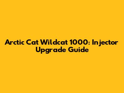 Arctic Cat Wildcat 1000: Injector Upgrade Guide