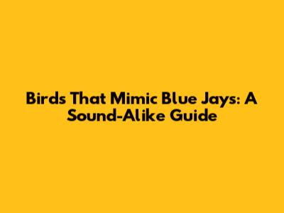 Birds That Mimic Blue Jays: A Sound-Alike Guide