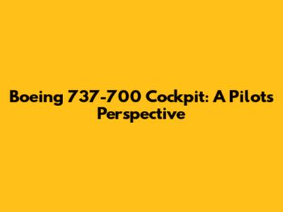 Boeing 737-700 Cockpit: A Pilot's Perspective