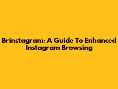 Brinstagram: A Guide To Enhanced Instagram Browsing