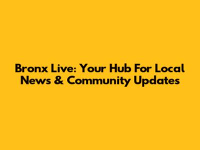 Bronx Live: Your Hub For Local News & Community Updates