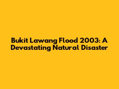 Bukit Lawang Flood 2003: A Devastating Natural Disaster
