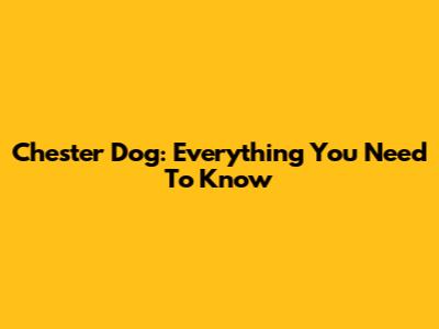 Chester Dog: Everything You Need To Know