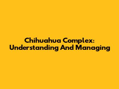 Chihuahua Complex: Understanding And Managing
