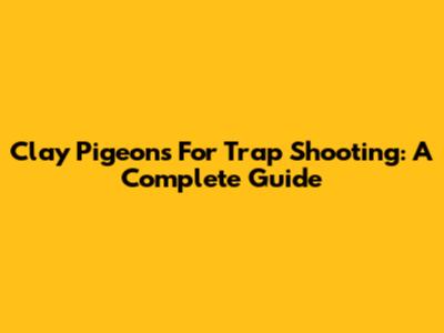 Clay Pigeons For Trap Shooting: A Complete Guide