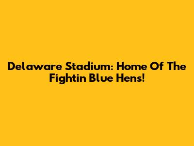 Delaware Stadium: Home Of The Fightin' Blue Hens!