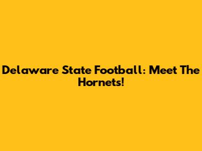 Delaware State Football: Meet The Hornets!