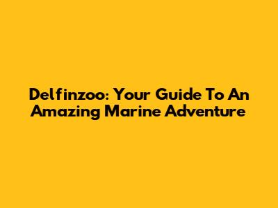 Delfinzoo: Your Guide To An Amazing Marine Adventure