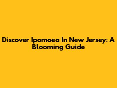 Discover Ipomoea In New Jersey: A Blooming Guide