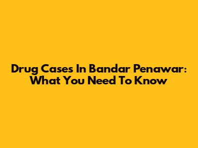 Drug Cases In Bandar Penawar: What You Need To Know