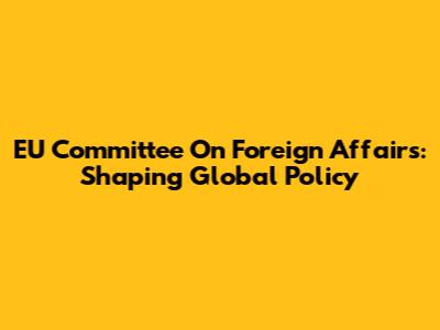 EU Committee On Foreign Affairs: Shaping Global Policy