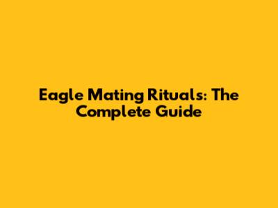 Eagle Mating Rituals: The Complete Guide