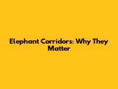 Elephant Corridors: Why They Matter