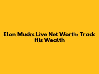 Elon Musk's Live Net Worth: Track His Wealth