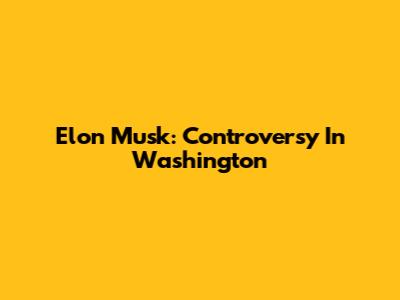 Elon Musk: Controversy In Washington