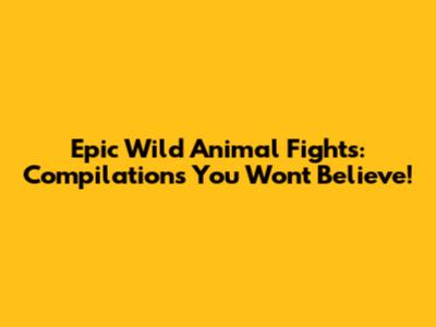Epic Wild Animal Fights: Compilations You Won't Believe!