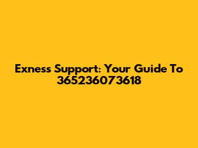 Exness Support: Your Guide To 365236073618