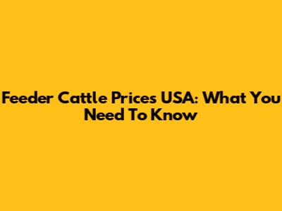 Feeder Cattle Prices USA: What You Need To Know