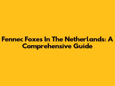 Fennec Foxes In The Netherlands: A Comprehensive Guide