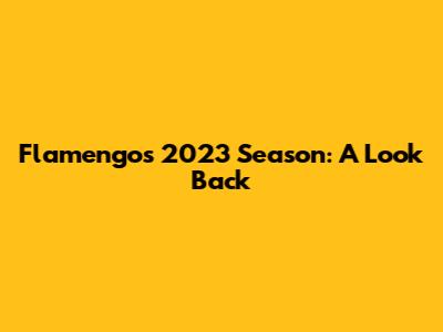 Flamengo's 2023 Season: A Look Back