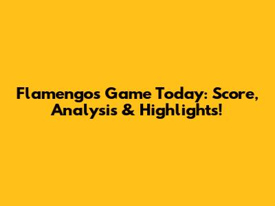 Flamengo's Game Today: Score, Analysis & Highlights!