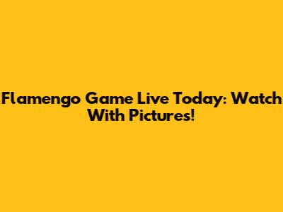 Flamengo Game Live Today: Watch With Pictures!