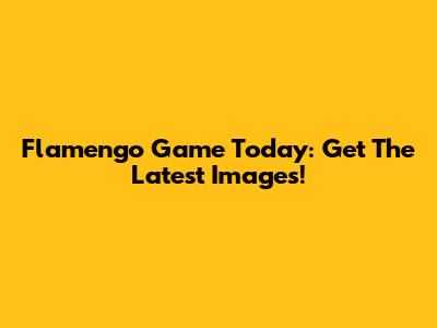 Flamengo Game Today: Get The Latest Images!