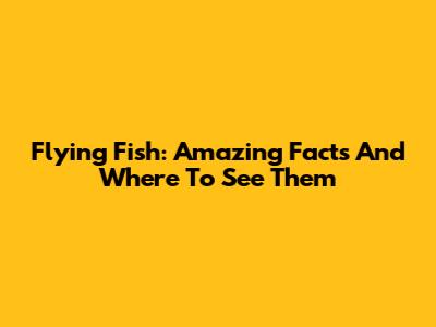 Flying Fish: Amazing Facts And Where To See Them