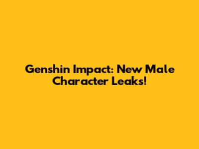 Genshin Impact: New Male Character Leaks!