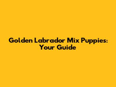 Golden Labrador Mix Puppies: Your Guide