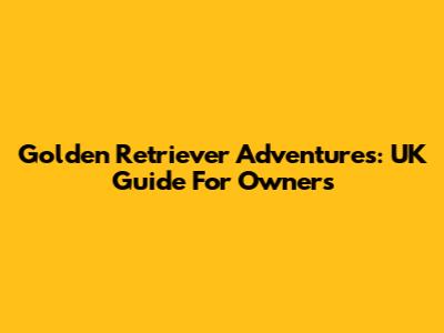 Golden Retriever Adventures: UK Guide For Owners