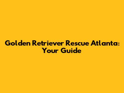 Golden Retriever Rescue Atlanta: Your Guide