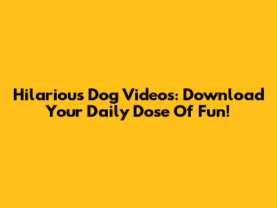 Hilarious Dog Videos: Download Your Daily Dose Of Fun!