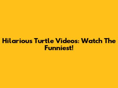 Hilarious Turtle Videos: Watch The Funniest!