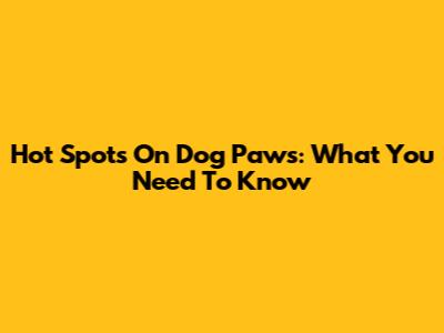 Hot Spots On Dog Paws: What You Need To Know