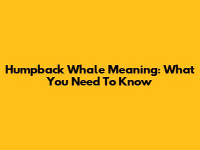 Humpback Whale Meaning: What You Need To Know