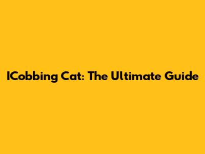 ICobbing Cat: The Ultimate Guide