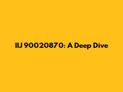 IIJ 90020870: A Deep Dive