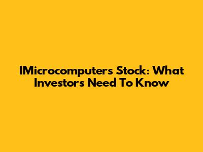IMicrocomputers Stock: What Investors Need To Know