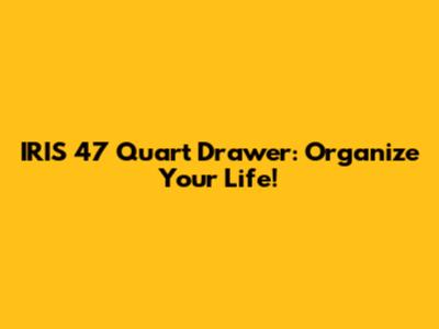 IRIS 47 Quart Drawer: Organize Your Life!