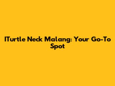 ITurtle Neck Malang: Your Go-To Spot