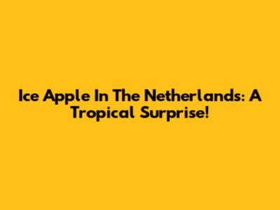 Ice Apple In The Netherlands: A Tropical Surprise!