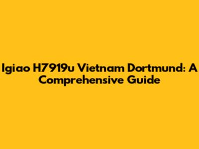 Igiao H7919u Vietnam Dortmund: A Comprehensive Guide